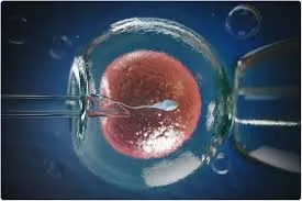 Embryo Freezing: Safeguarding Future Possibilities