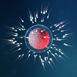 3d-illustration-sperm-egg-cell-ovum-sperm-approaching-egg-cell-native-natural-fertilization-conception-beginning-new-life-ovum-with-red-core-microscope-movement-sperm_92790-524 DR Smriti Sparsh