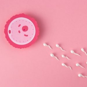 flat-lay-fertility-concept-with-pink-background_23-2149214337 DR Smriti Sparsh
